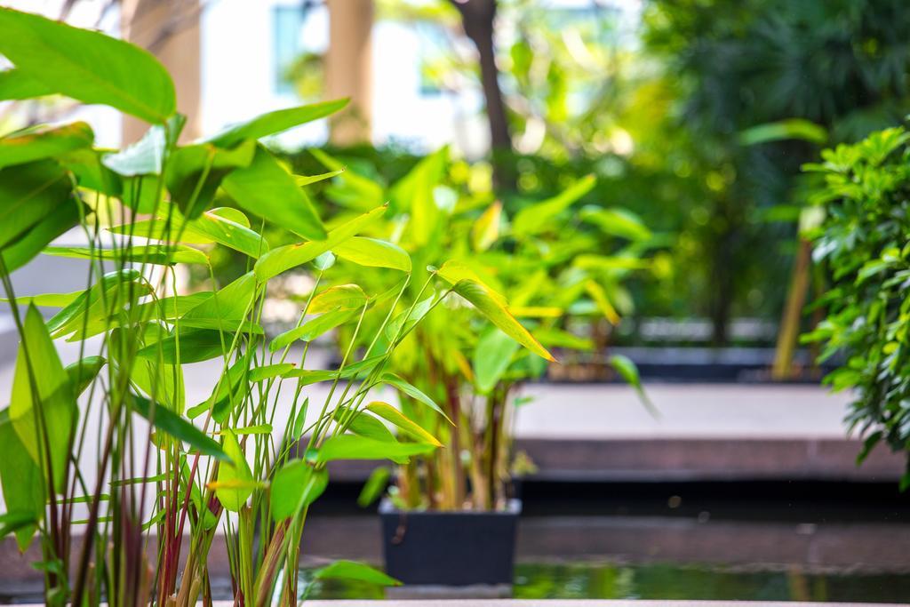 The Capital Resort @ Sukhumvit 50 Bangkok Dış mekan fotoğraf Plants in a water garden